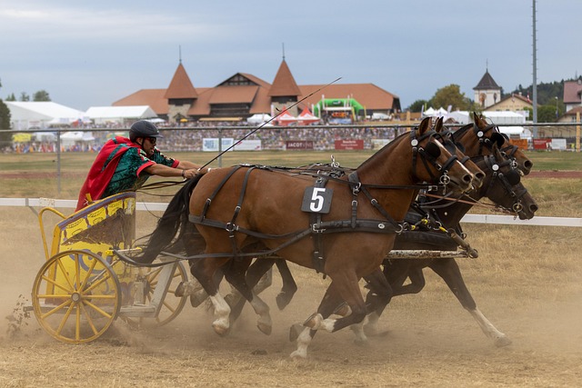球队跻身世 球队跻身世